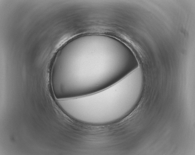 X0000116651459200912140956