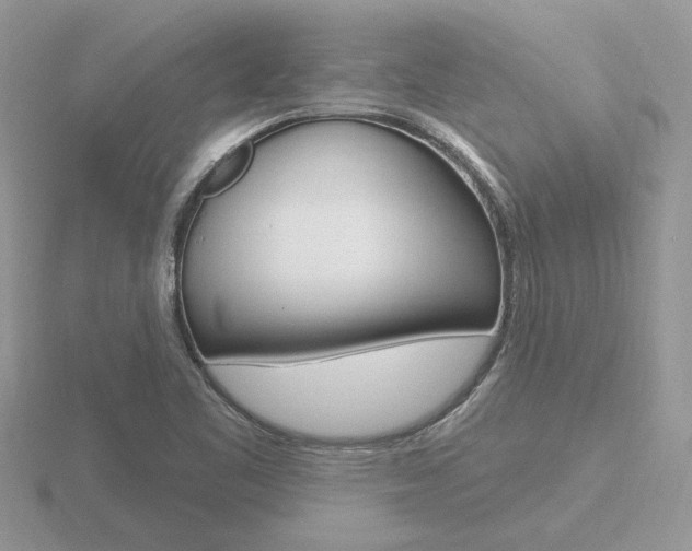 X0000116651461200912140956