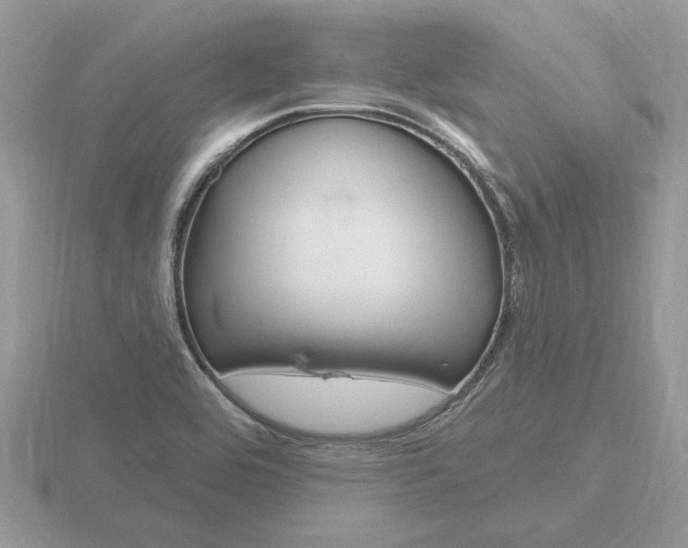 X0000116651464200912140955