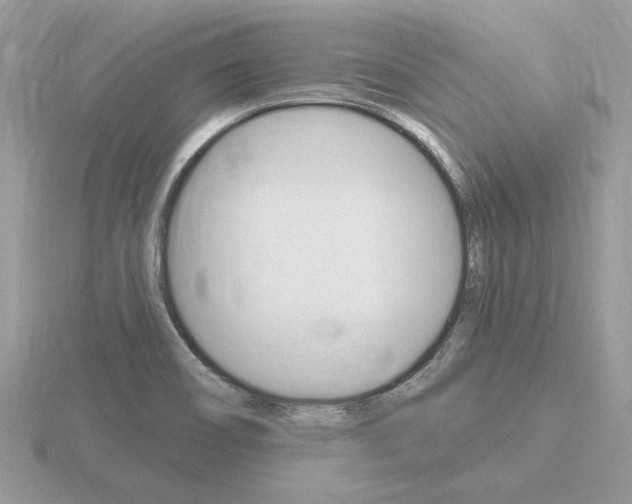 X0000116651466200912140955