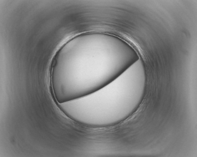 X0000116651467200912140955