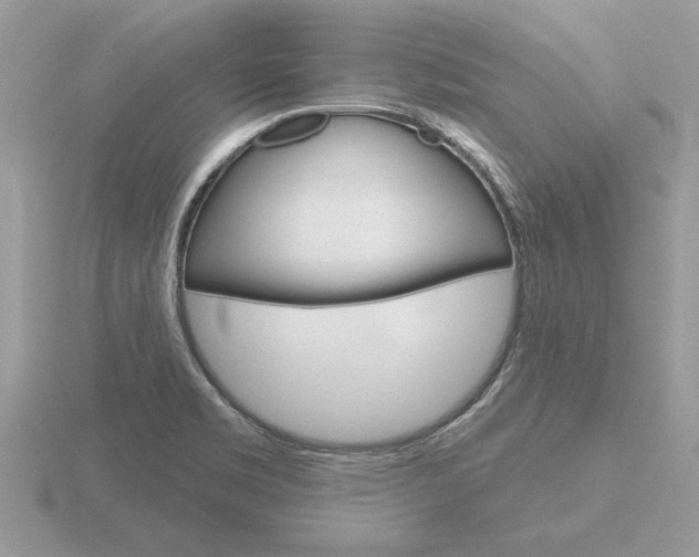X0000116651469200912140955