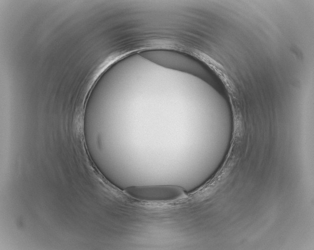 X0000116651473200912140955
