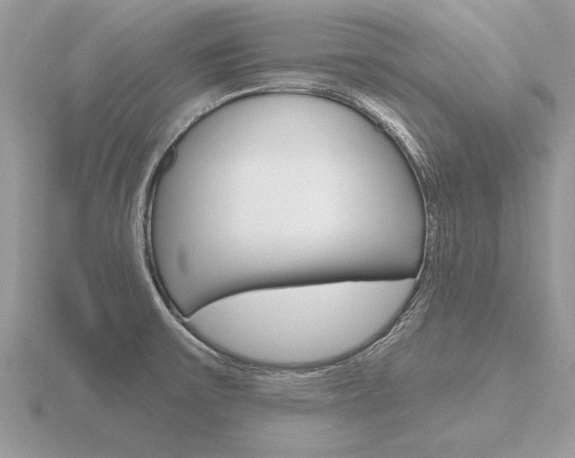 X0000116651475200912140955