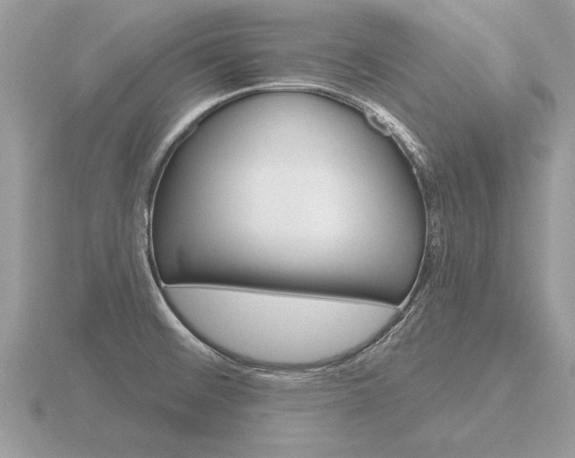 X0000116651476200912140955