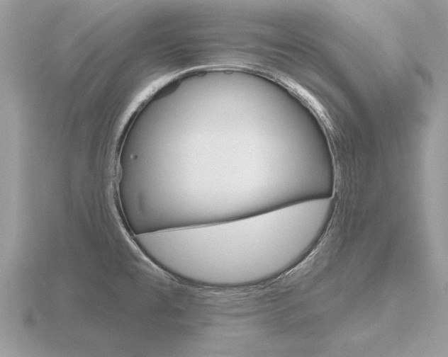 X0000116651477200912140955