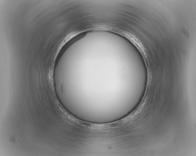 X0000116651481200912140955