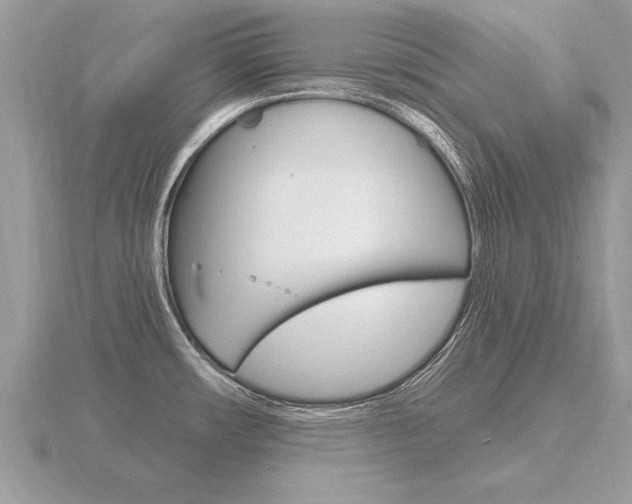 X0000116651482200912140955