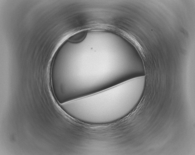 X0000116651483200912140955
