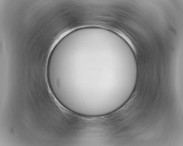 X0000116651485200912140955