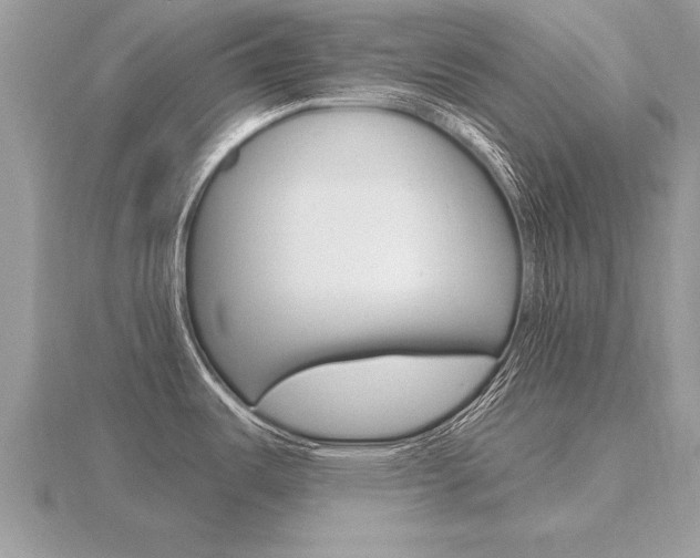 X0000116651487200912140955