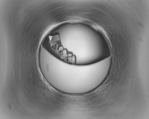 X0000116651488200912140955