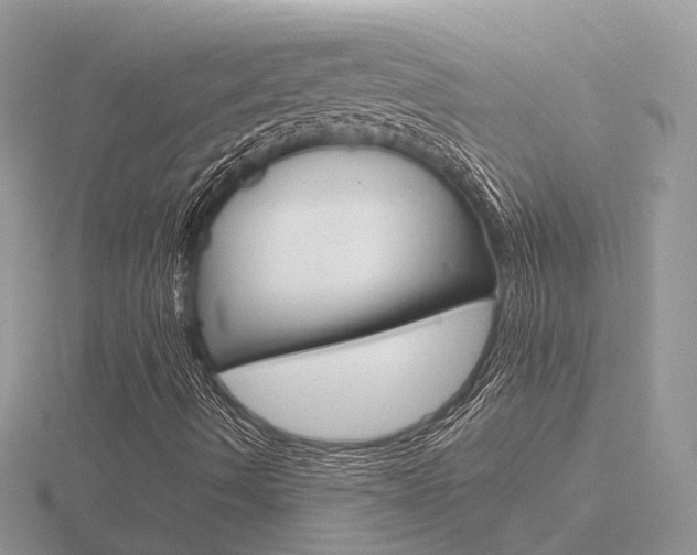 X0000116651490200912140954