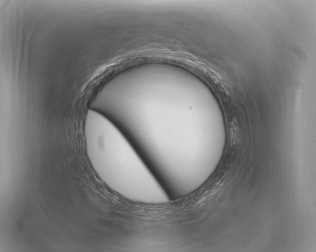 X0000116651494200912140954