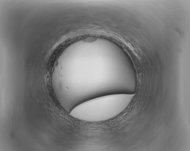X0000116651495200912140954