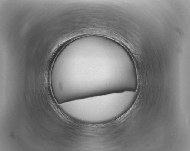 X0000116651499200912140955