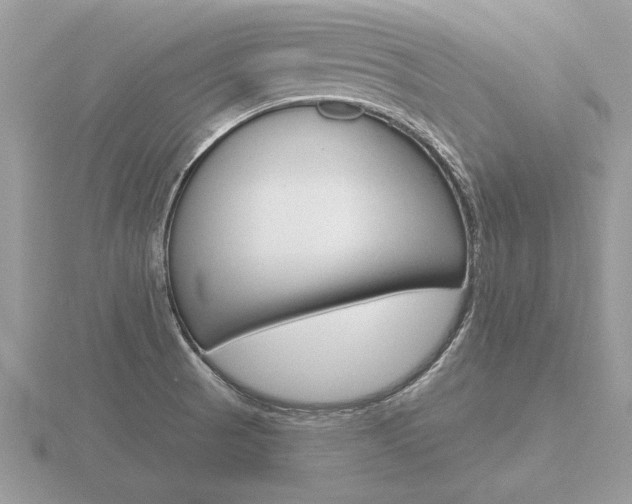 X0000116651521200912140955