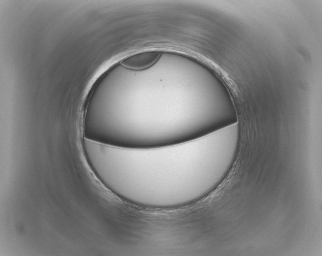 X0000116651522200912140955