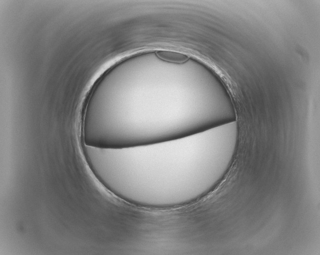 X0000116651523200912140955