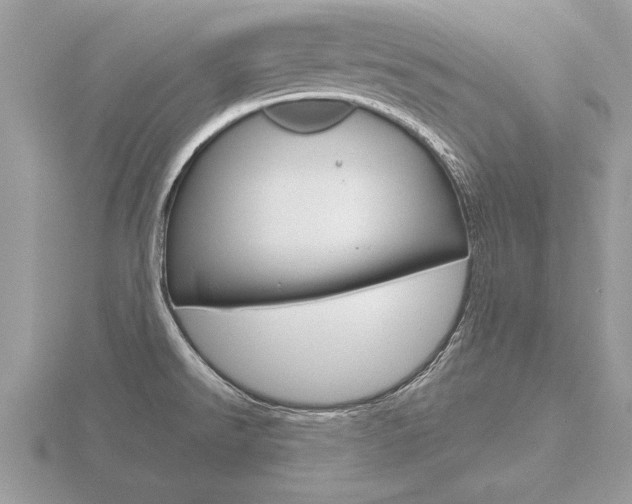 X0000116651526200912140955