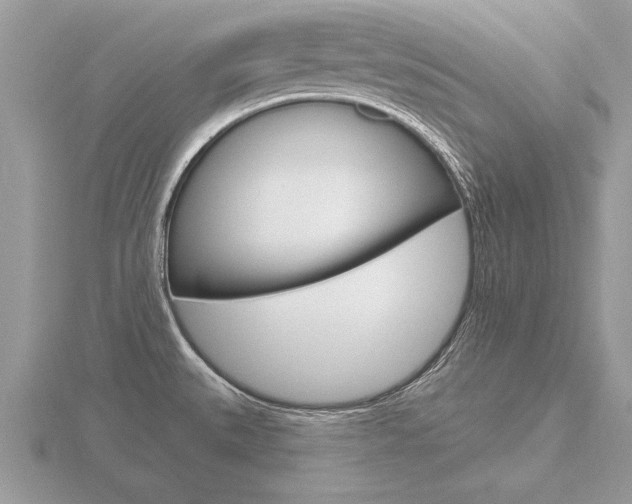 X0000116651527200912140955