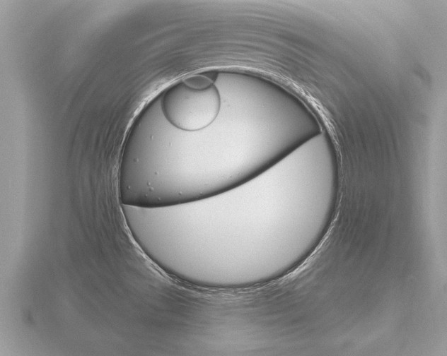 X0000116651529200912140955