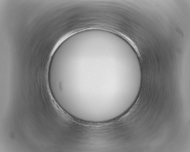 X0000116651530200912140955