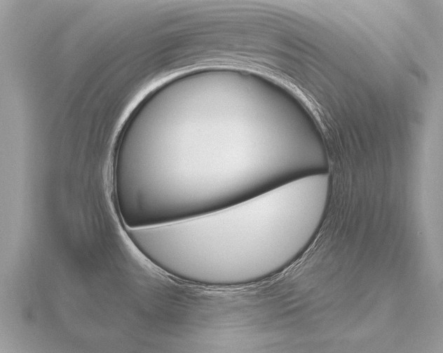 X0000116651531200912140955