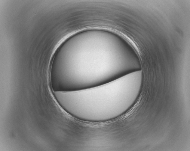 X0000116651533200912140955