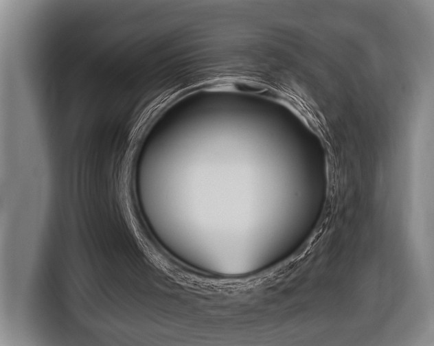 X0000116650001200912141305