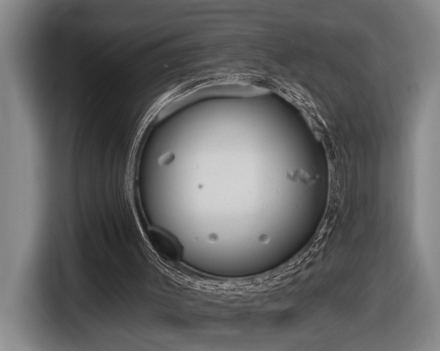 X0000116650003200912141305
