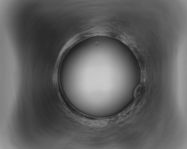 X0000116650004200912141304