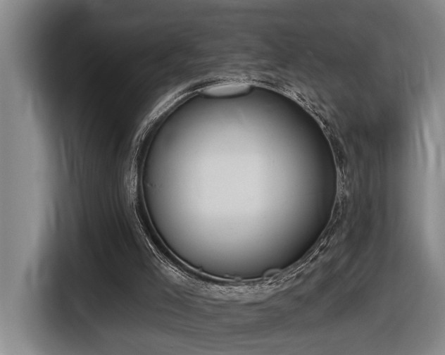 X0000116650005200912141304