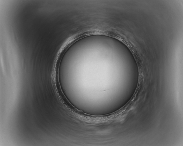X0000116650006200912141304