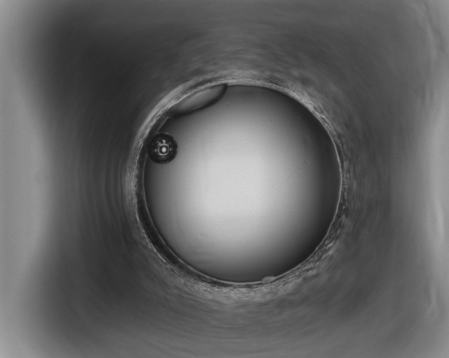 X0000116650007200912141304