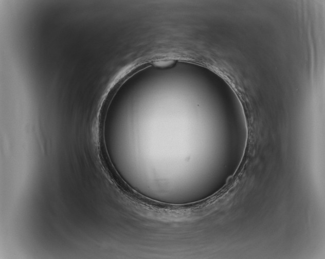 X0000116650008200912141304