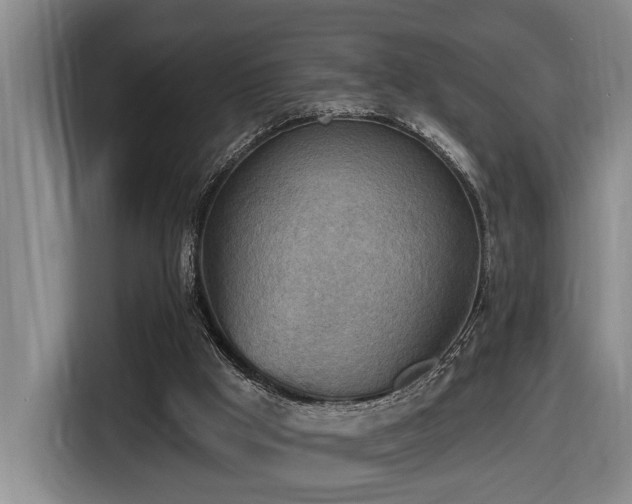 X0000116650009200912141304