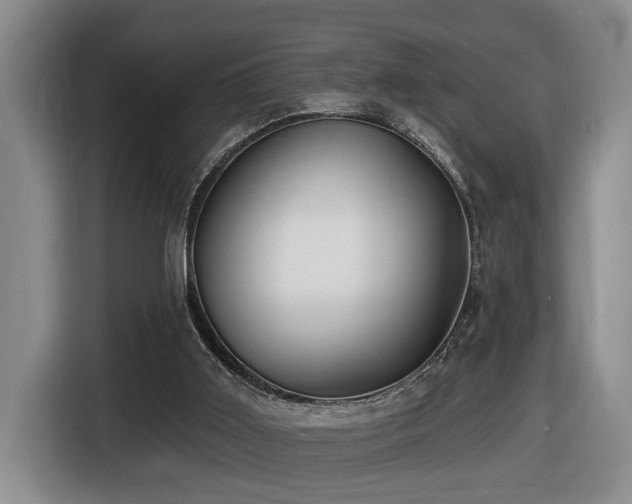 X0000116650011200912141304