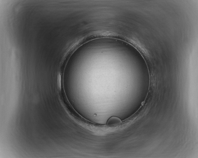 X0000116650014200912141304