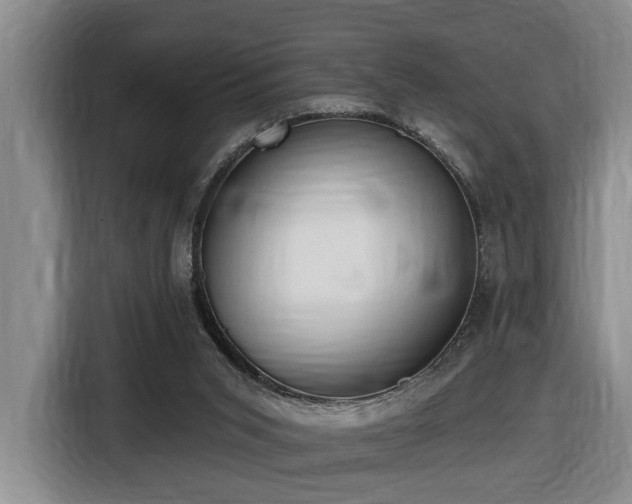 X0000116650015200912141304