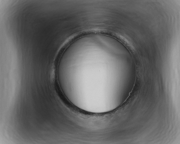 X0000116650016200912141304