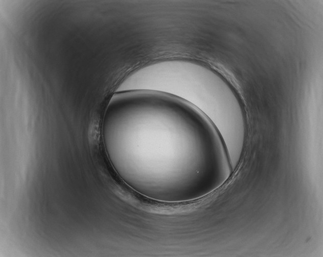 X0000116650017200912141304