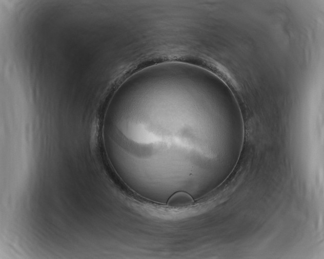 X0000116650018200912141304