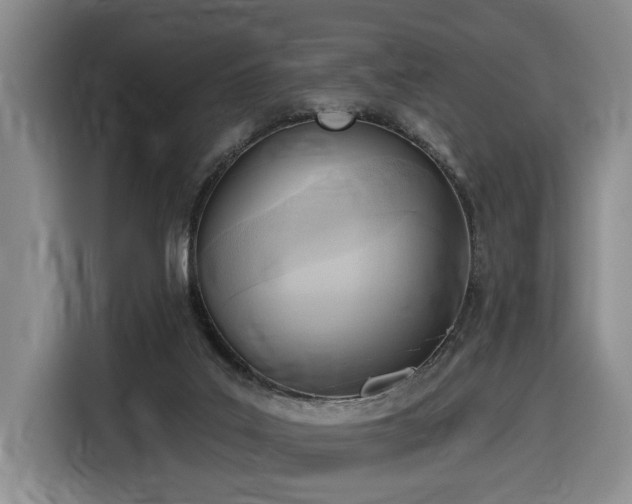 X0000116650019200912141304