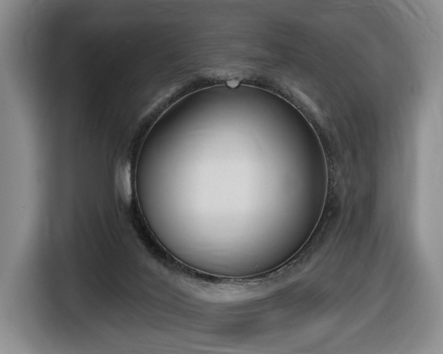 X0000116650020200912141304