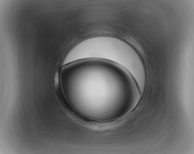X0000116650021200912141304