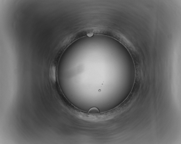X0000116650022200912141304