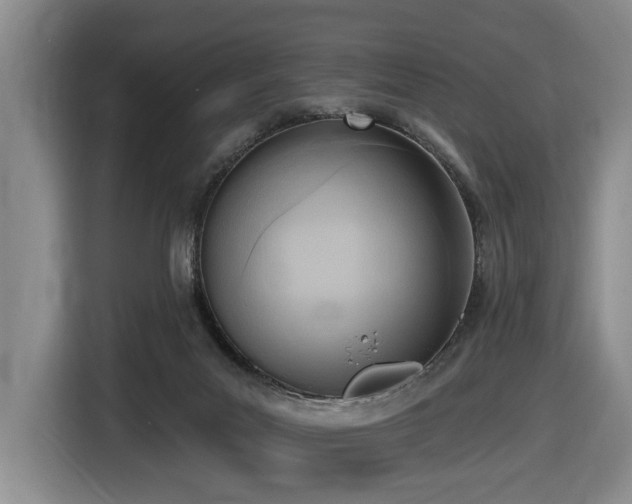 X0000116650023200912141304