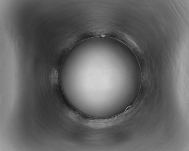 X0000116650025200912141304