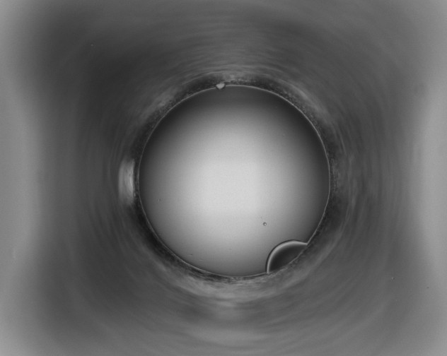X0000116650028200912141304